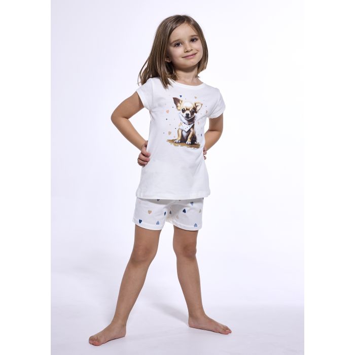 PIŻAMA DZIEWCZĘCA KIDS KD CHIHUAHUA 787/108