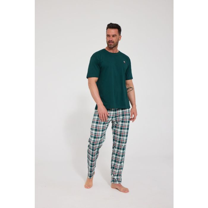 PIŻAMA MĘSKA WILD NATURE 134/328 3-5XL