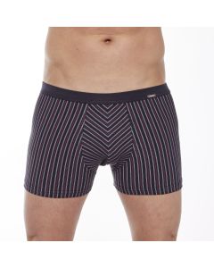BOKSERKI PRZYLEGAJĄCE AV-MINI 228/135