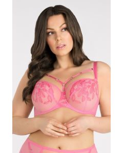 BIUSTONOSZ SOFT LOLLIPOP K846 BIG