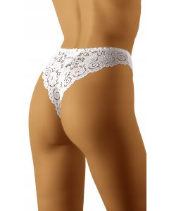 STRINGI BOLERO