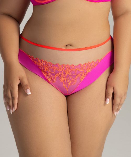 BRAZYLIANY FLAMINGO 2162