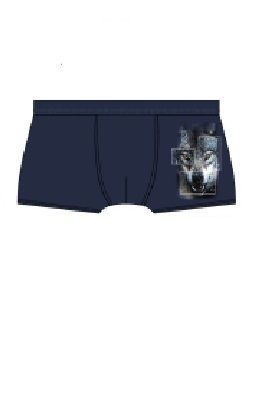 BOKSERKI PRZYLEGAJĄCE YOUNG Y WOLF 700/142