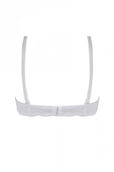BIUSTONOSZ PUSH-UP 24 